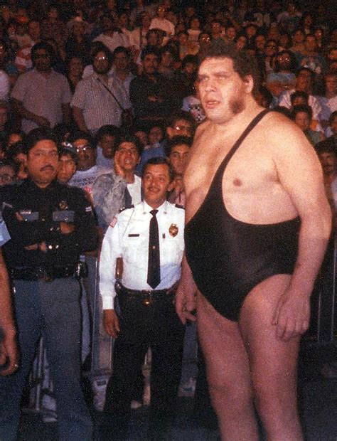 André the Giant - Wikipedia