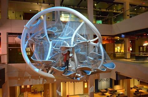 New Infinity Climber Exhibit Grand Unveiling Featuring Record-Breaking ...