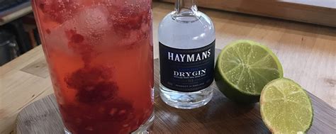 Stunning Summer Cocktails with Hayman's Gin - beccafarrelly.co.uk