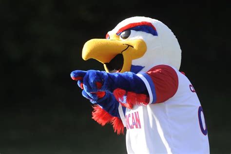 American University Eagles mascot, Clawed the Eagle. | Eagle mascot ...