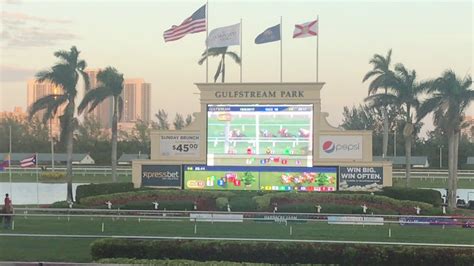 Gulfstream Race 12/8/17 - YouTube