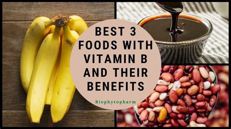 Best 3 Foods With Vitamin B And Their Benefits | Biophytopharm