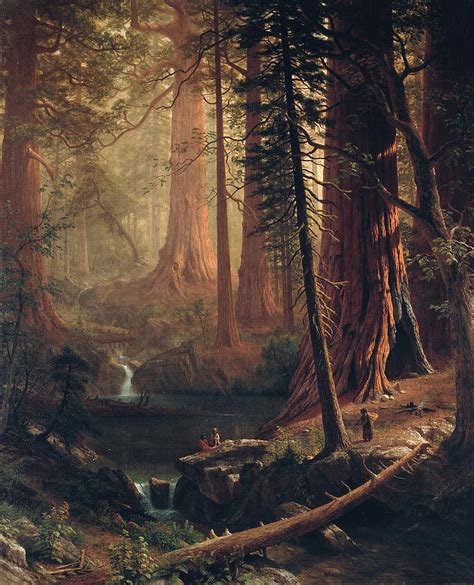 Giant Redwood Trees of California Painting by Albert Bierstadt - Fine ...