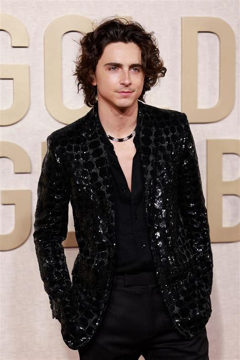 Timothee Chalamet Sparkles on Golden Globes Red Carpet Without Kylie Jenner