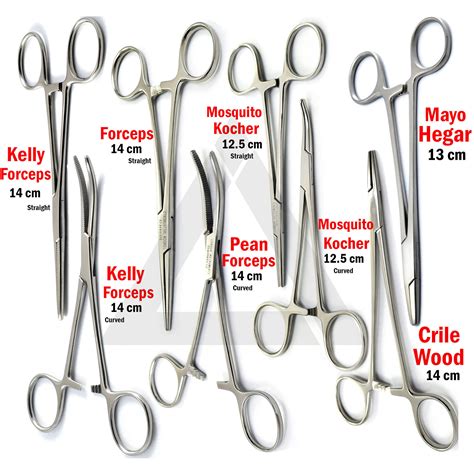 Hemostat Locking Pliers Pets Grooming Clamp Hemostatic Forceps Surgical Tools | eBay