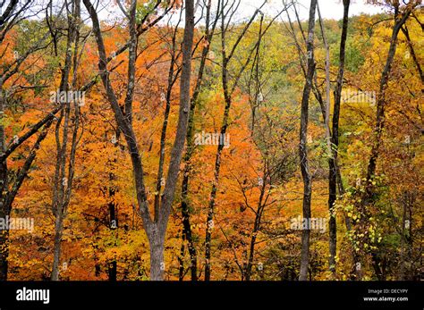 Brown County State Park Stock Photo - Alamy