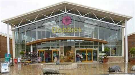 Dobbies makes a Christmas wish at King?s Lynn garden centre