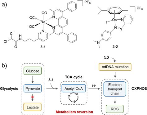 (a) Chemical structures of organometallic complexes 3-1 and 3-2... | Download Scientific Diagram