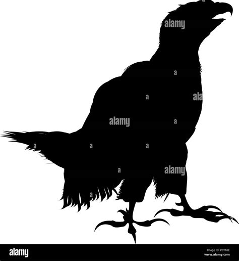 Bald Eagle Stock Vector Images - Alamy