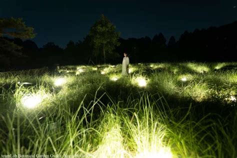 teamLab Botanical Garden Osaka