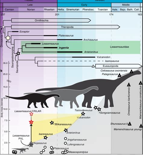 | Origin of Sauropoda and its relationship with the evolution of the ...