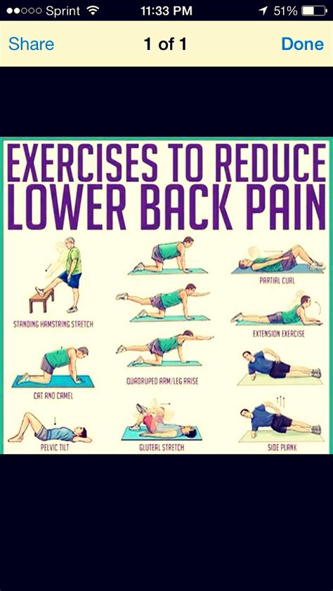 Exercises To Reduce Lower Back Pain | Trusper