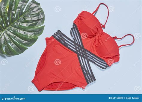 A Red Vest and a Black and White Striped Umbrella Stock Photo - Image of jacket, stripes: 261152322