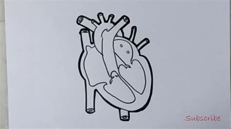 human heart diagram for class 10 easy | artistica - YouTube