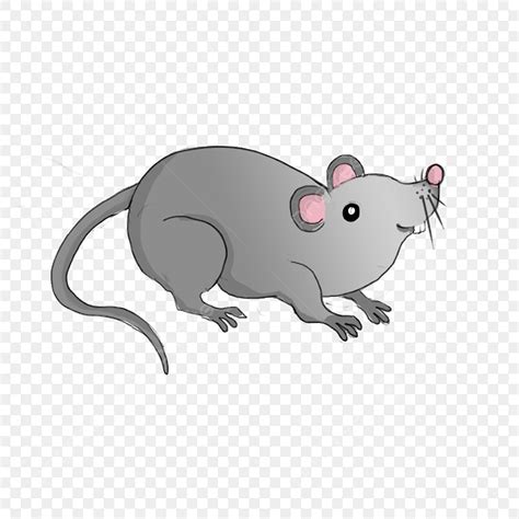 Clipart Tikus Kartun Lucu, Seni Klip, Tikus Abu Abu, Tikus PNG ...