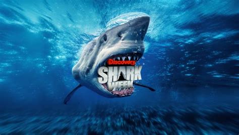 Discovery's Shark Week 2022 Schedule | The Latest Shark Week 2024 News ...