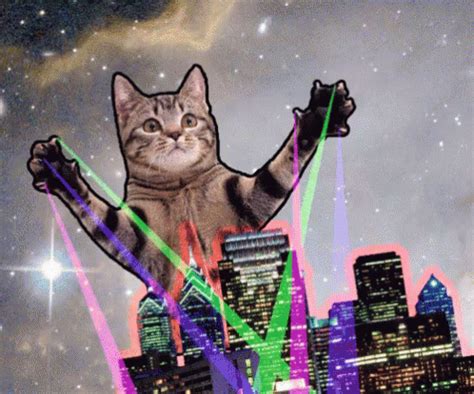 Cat Laser Beam GIFs | Tenor