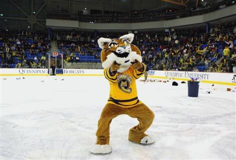 Quinnipiac Bobcats Mascot Boomer the Bobcat