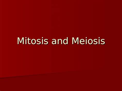 (PPT) Mitosis and Meiosis. Differences in Human Cell Types Somatic Cells Somatic Cells-“regular ...