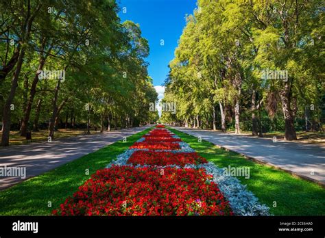 Spring in sea Garden Park, Varna Bulgaria Stock Photo - Alamy