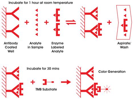 ELISA | Immunalysis