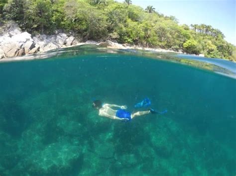 Puerto Vallarta Snorkeling: The Best Places To Go | Vallarta Adventures