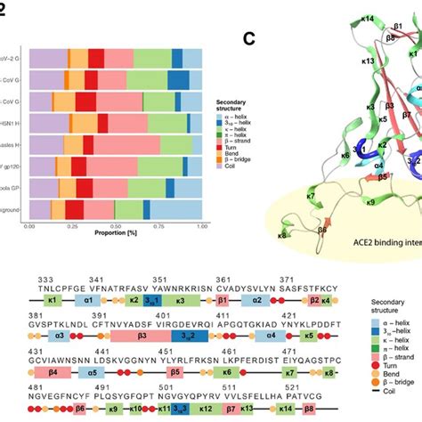 Secondary structure assignment of the receptor-binding domain. (A ...