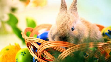 How a bunny, baskets and eggs got connected with Easter - ABC News