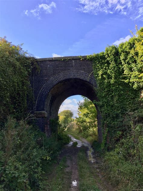 old train bridge | Old train, Adventure, Abandoned