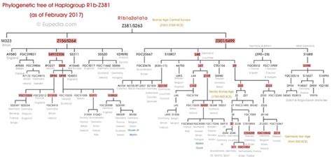 a family tree is shown in red and white