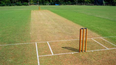 Cricket Pitch - A Comprehensive Guide to Cricket Pitches, Types and ...