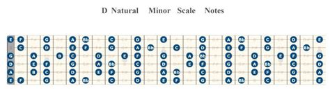 How to Play D Minor Scale on Guitar - Beginner Guitar HQ