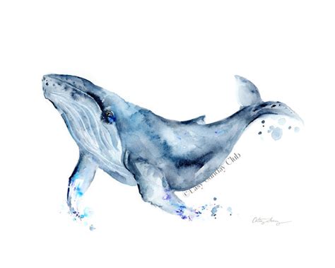 Humpback Whale "Walter" Watercolor Art Print | Under the Sea – Easy ...