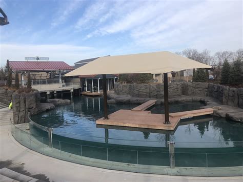 Como Park Zoo Seal and Sea Lion Habitat Nearing Completion - Satchell Engineering & Associates, Inc.
