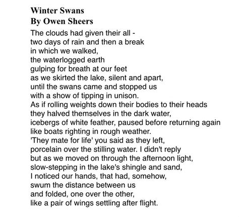 [POEM] “Winter Swans” by Owen Sheers : r/Poetry