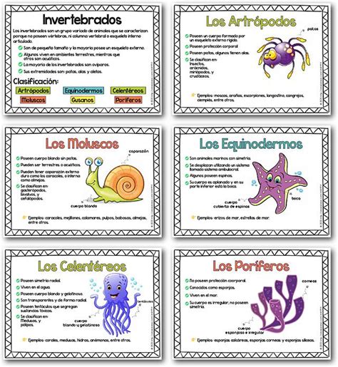 Carteles de la Clasificación de los Animales Invertebrados. Láminas para Presentación de los An ...