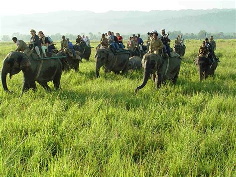 Assam's tourism revenue doubled in 2017 - Tourism News Live