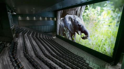 Denver Museum of Nature and Science opens reopens IMAX theater | 9news.com