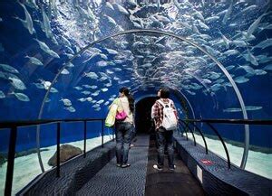 Shanghai Ocean Aquarium - the Biggest Aquarium in Asia