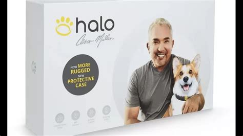 A Comprehensive Guide To Halo Dog Collar-Compatible Wireless Dog Fences