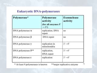 Enzymes involved in dna replication | PPT