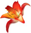 Red Flower PNG Clip Art Transparent Image | Gallery Yopriceville - High ...