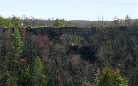 The Natural Bridges of Red River Gorge - Got Mountain Life