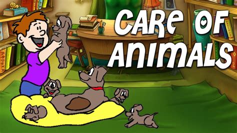 How To Take Care Of Animals | Pre School Learning and Kids Education – HousePetsCare.com