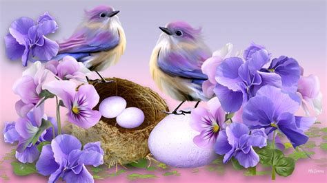 Beautiful Bird and Flower Wallpapers - Top Free Beautiful Bird and ...