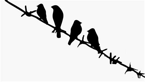 Bird On Wire Silhouette at GetDrawings | Free download