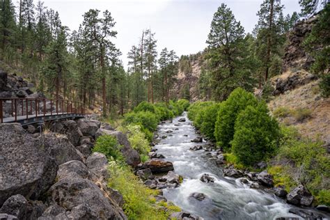 25 Amazing Cabins In Oregon For Your Next Getaway