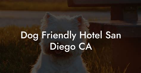 Dog Friendly Hotel San Diego CA - Dog Hotels