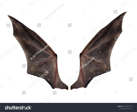 48,021 Bats Wings Images, Stock Photos & Vectors | Shutterstock