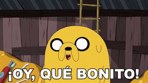 Oy Que Bonito Jake GIF - Oy Que Bonito Jake Hora De Aventura La ...